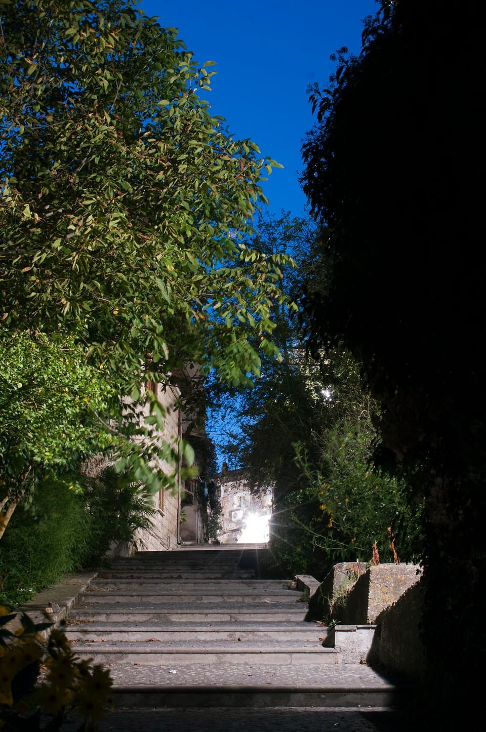 Neighbourhood