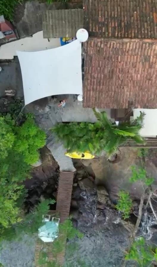 Property building, Garden, Garden view