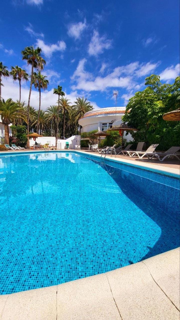 Day, Pool view, Swimming pool, sunbed
