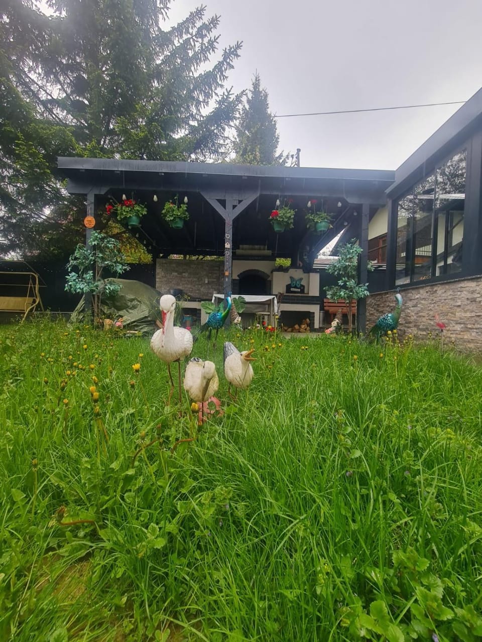 Garden view