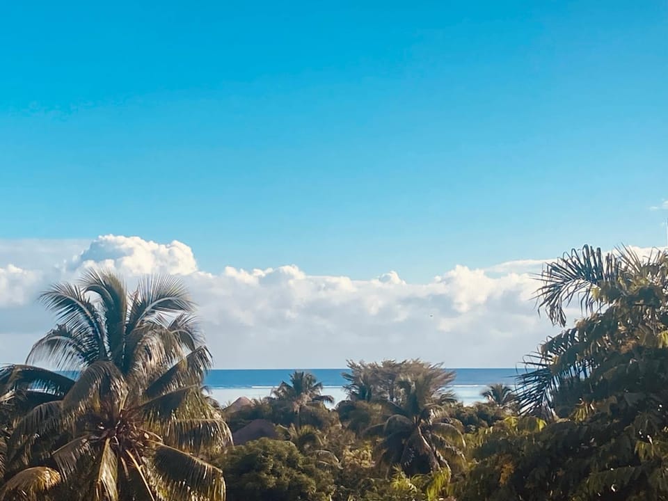 Natural landscape, Sea view