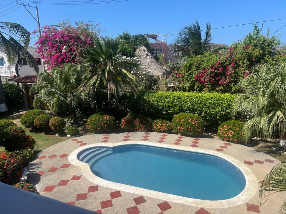 Summer, Garden, Swimming pool