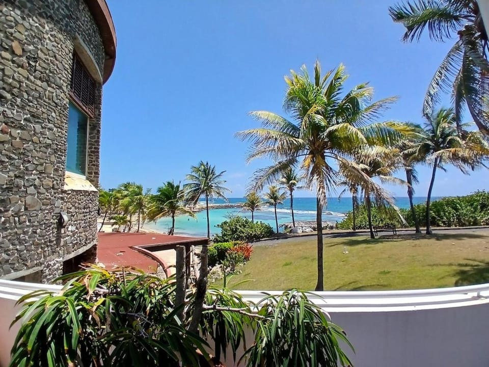 Garden, Sea view