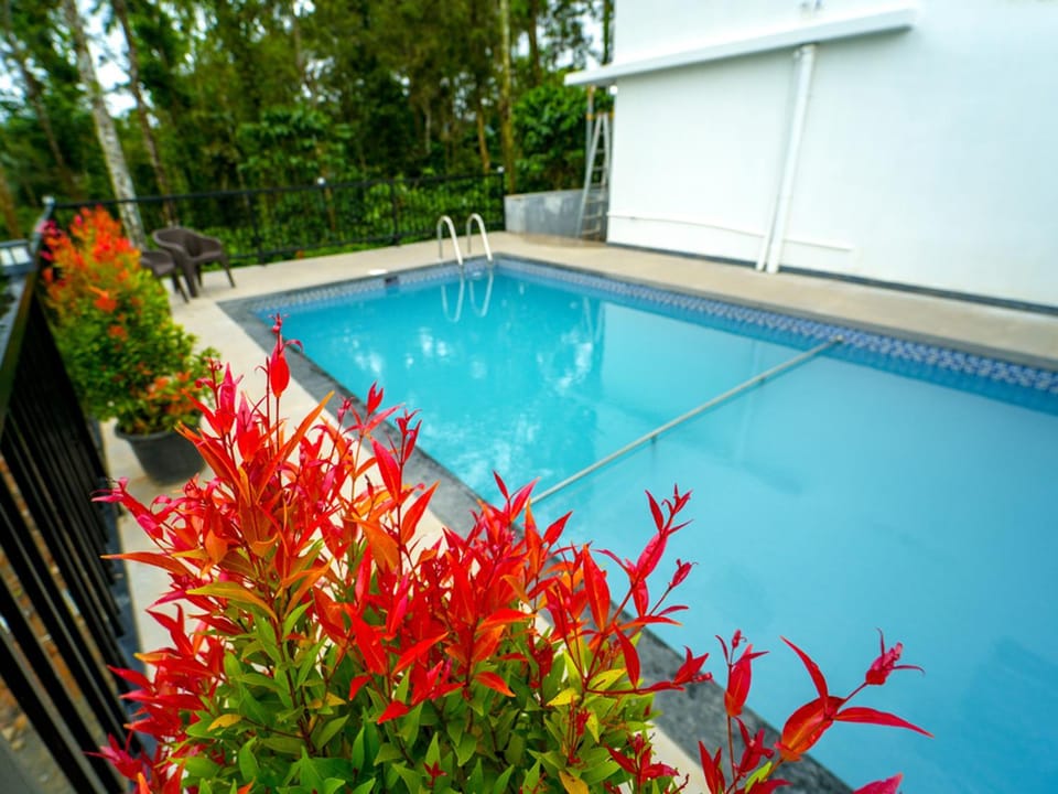 Swimming pool, Swimming pool