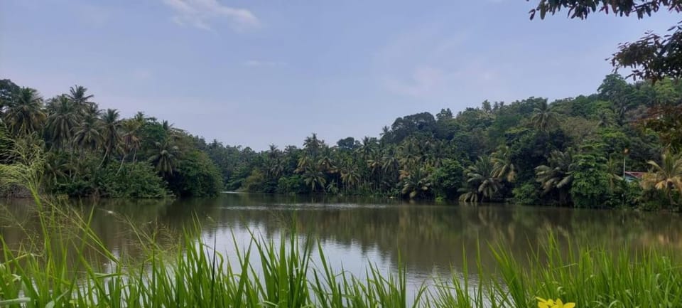Natural landscape, River view