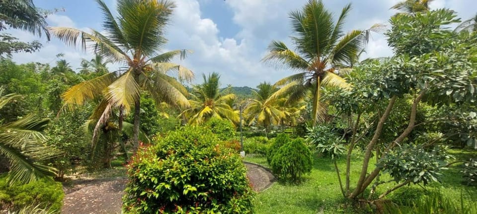 Natural landscape, Garden, View (from property/room), Garden view
