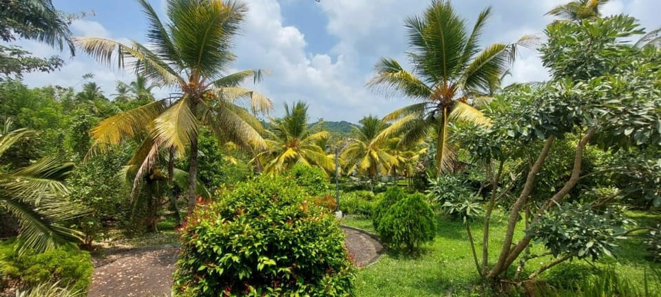 Natural landscape, Garden, Hiking, Garden view