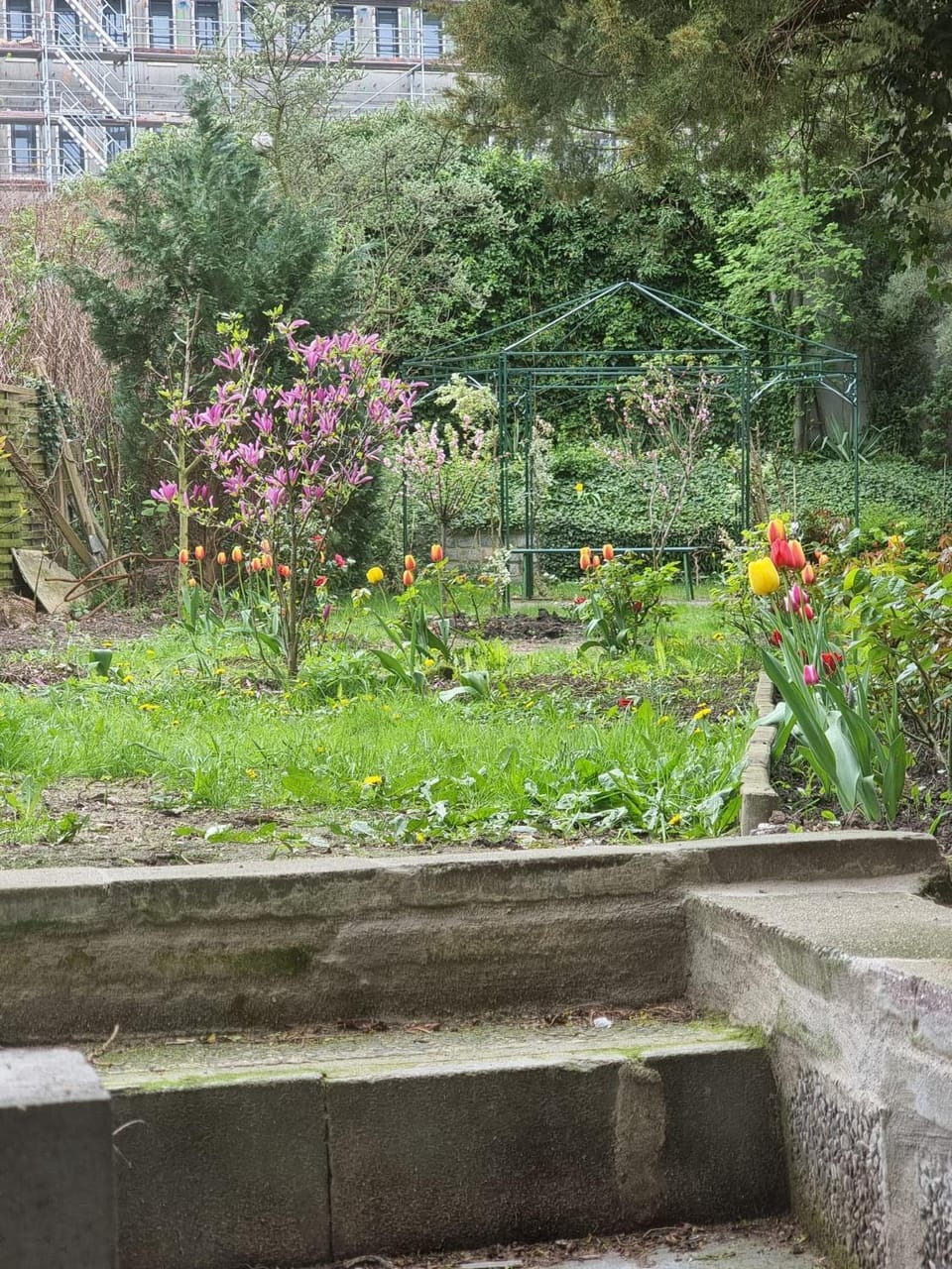 Spring, Garden