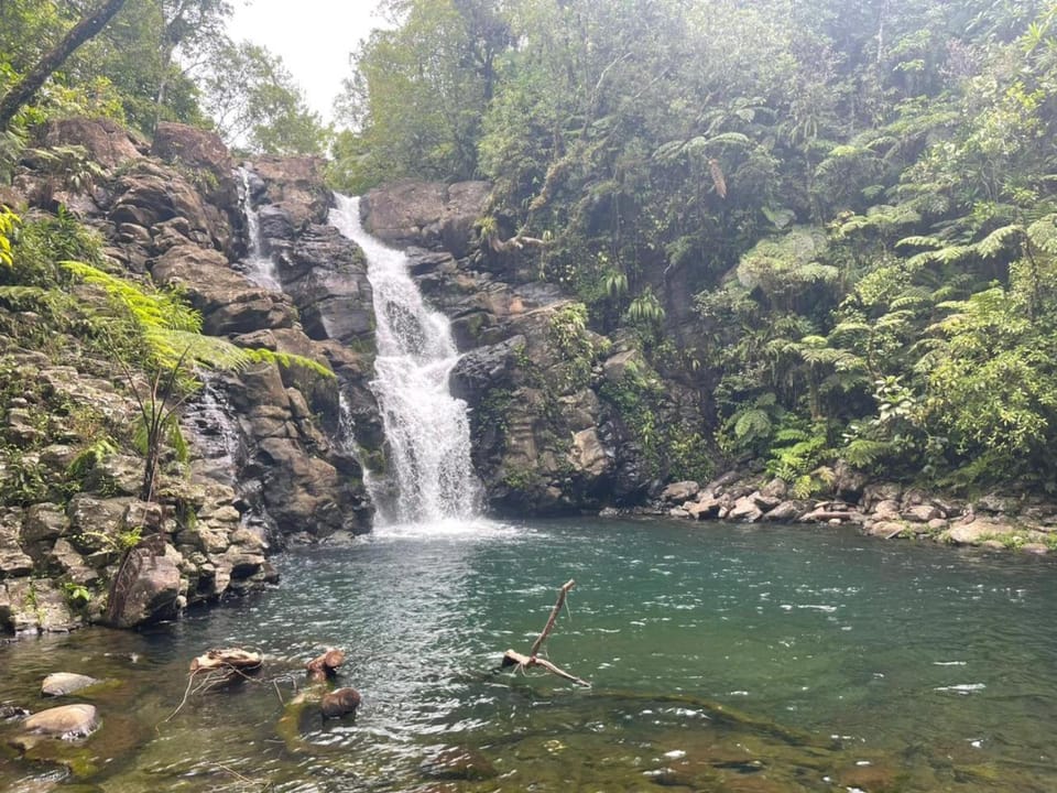 VureVure Homestay Vacation rental in Fiji