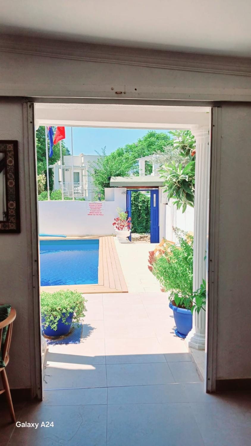 Patio, Day, Garden, Pool view