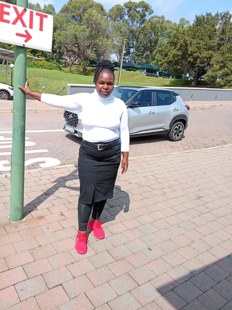 E L Rancho grande Apartment in Sandton
