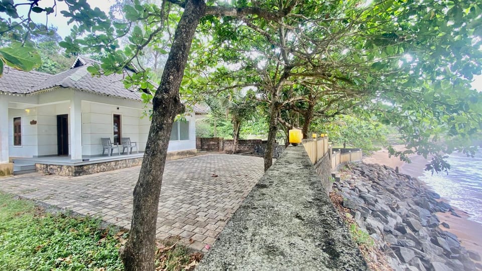 Property building, Garden, Garden view