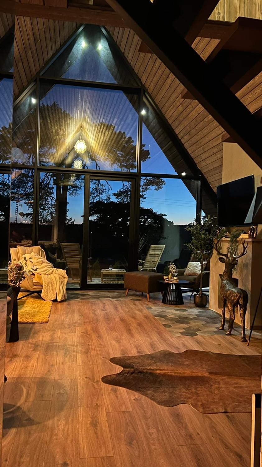 Night, Living room, Seating area