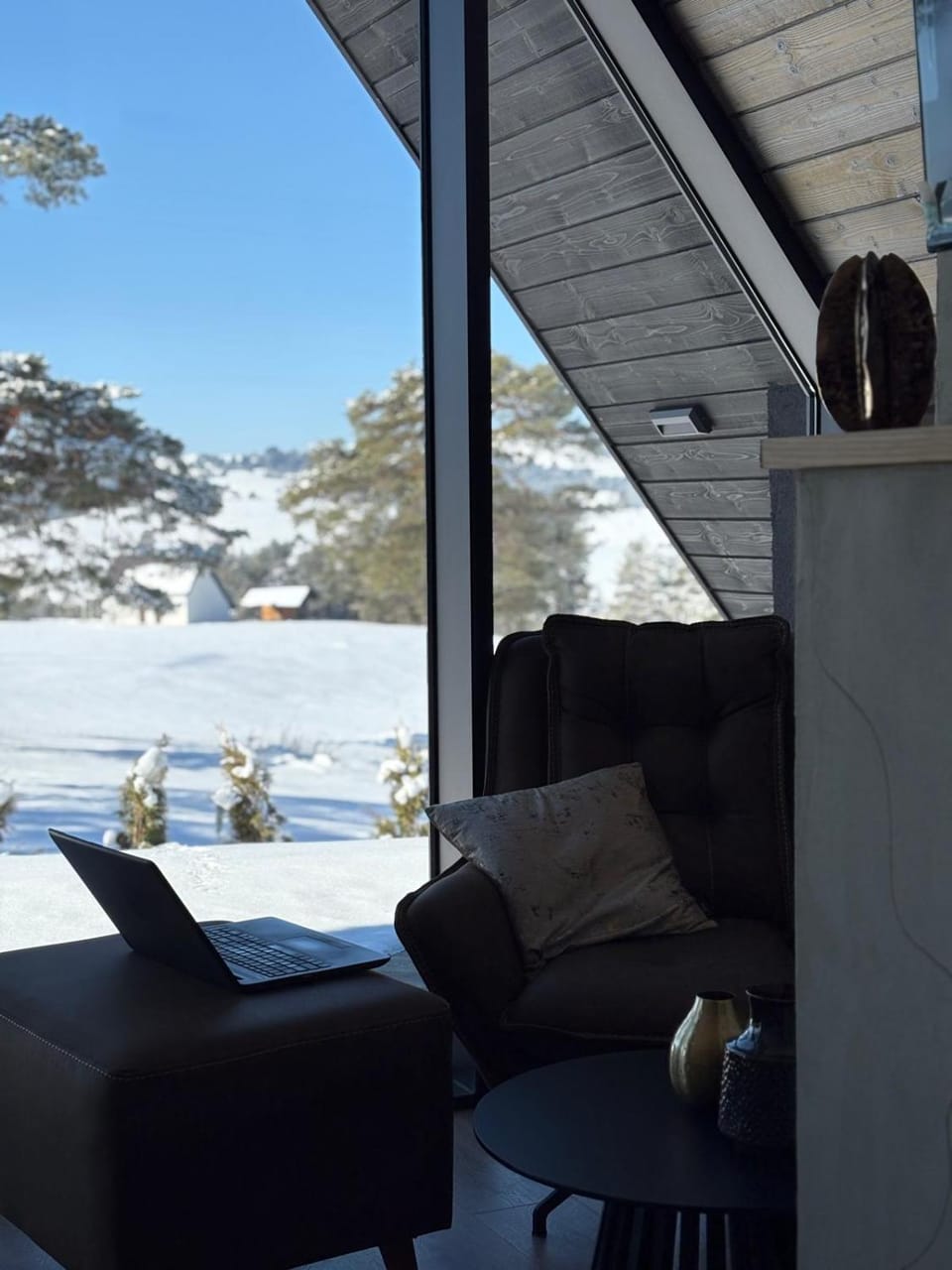 Day, Natural landscape, Winter, View (from property/room), Balcony/Terrace, Living room, Seating area, Mountain view