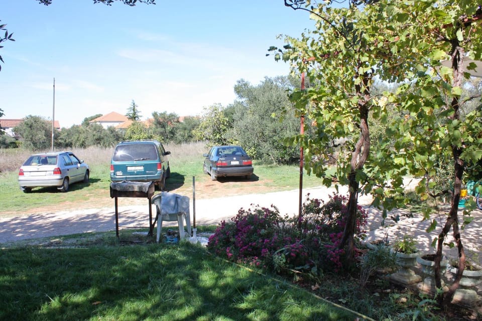 Location, children, Family