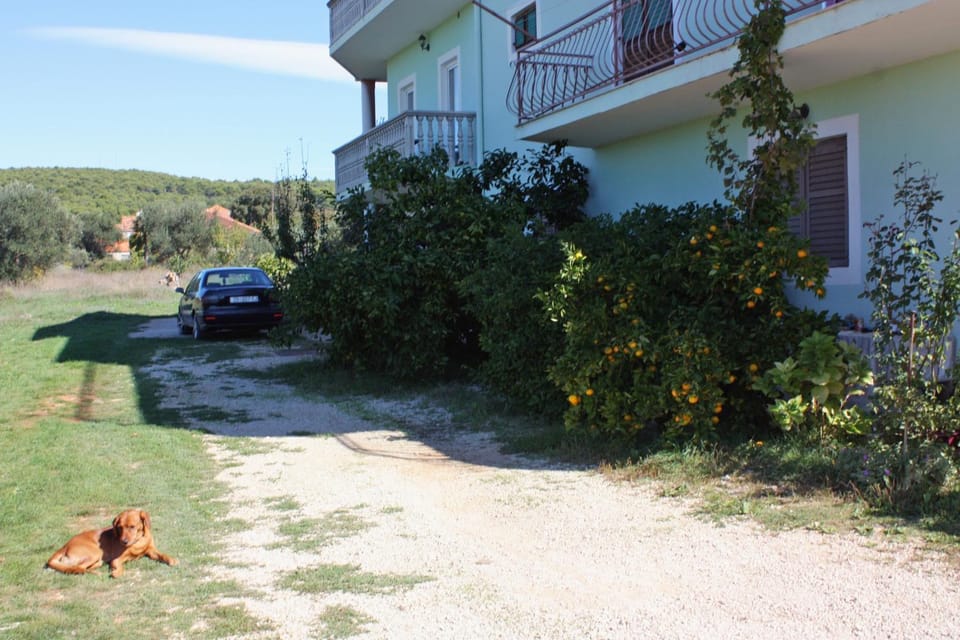 Location, children, Family
