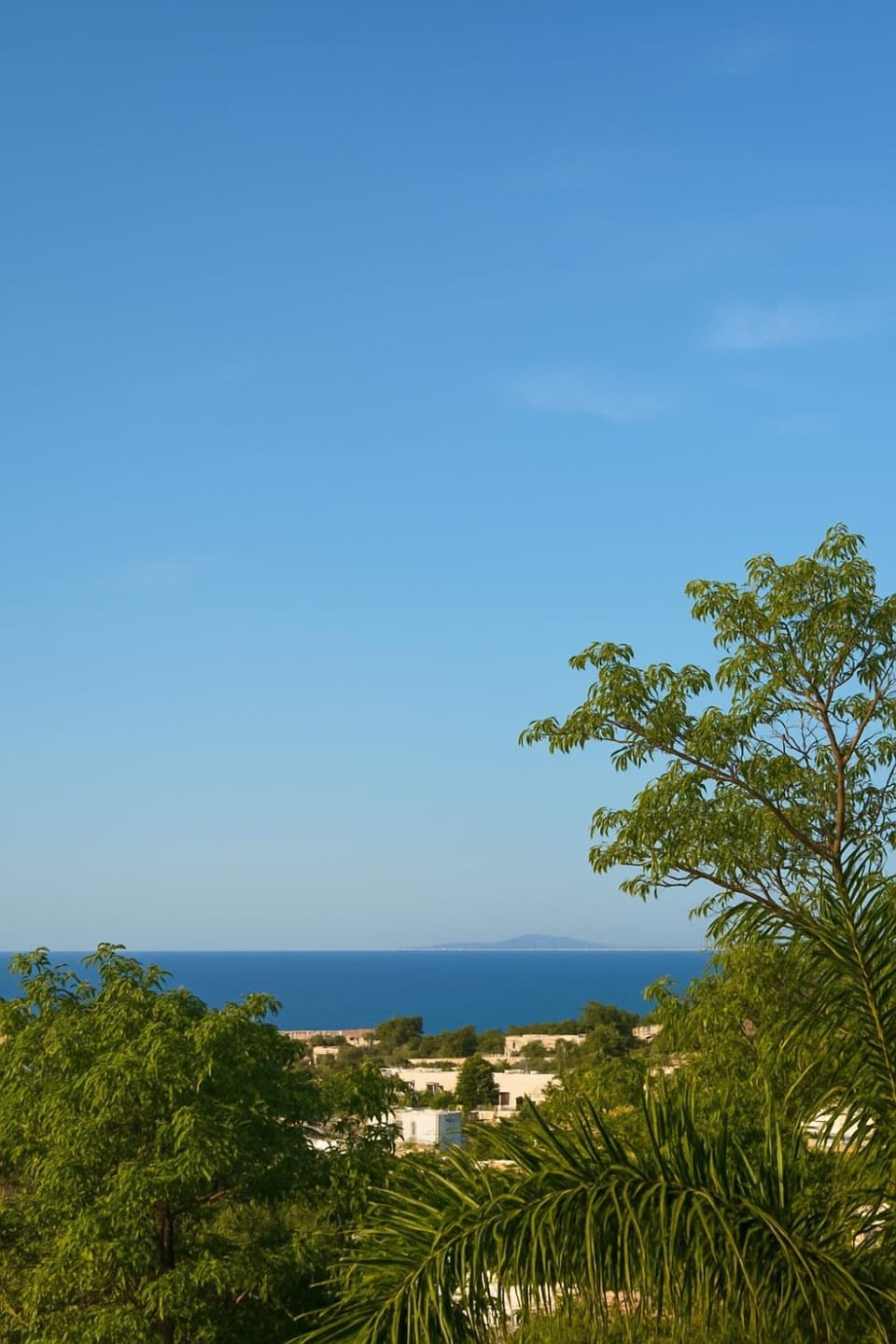 Natural landscape