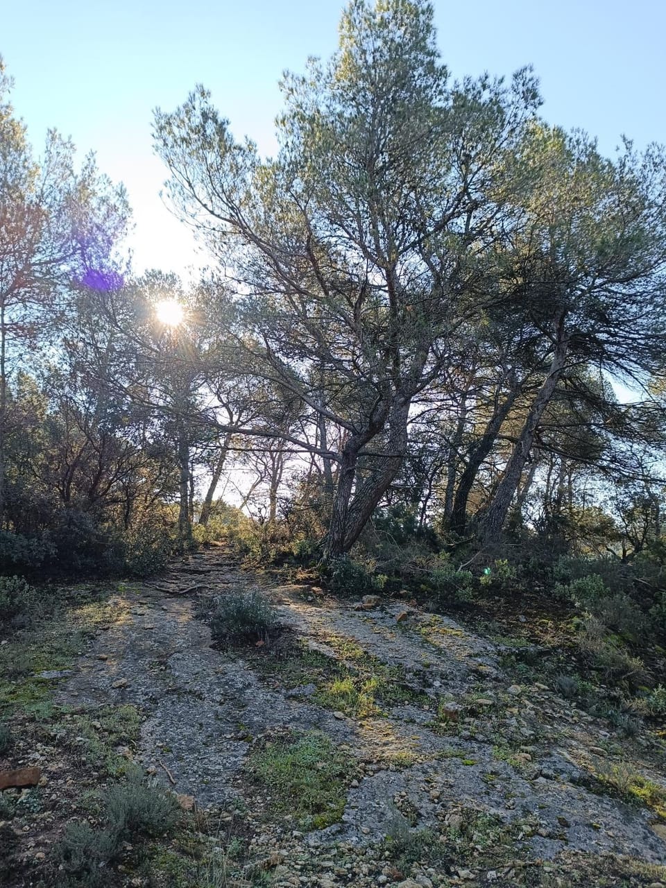 Le Refuge des Cigalons House in Cavaillon