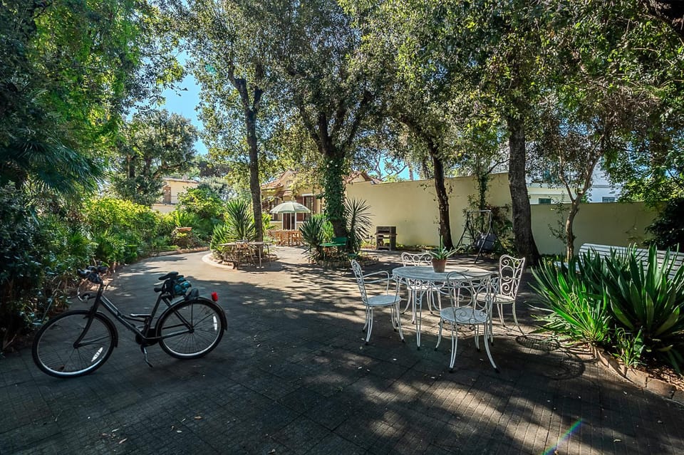 Patio, Spring, Day, Natural landscape, Garden, Cycling, Cycling, Garden view, Parking, internet