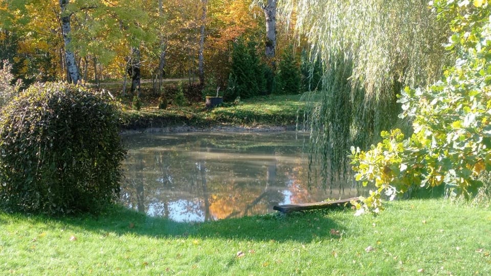 River view