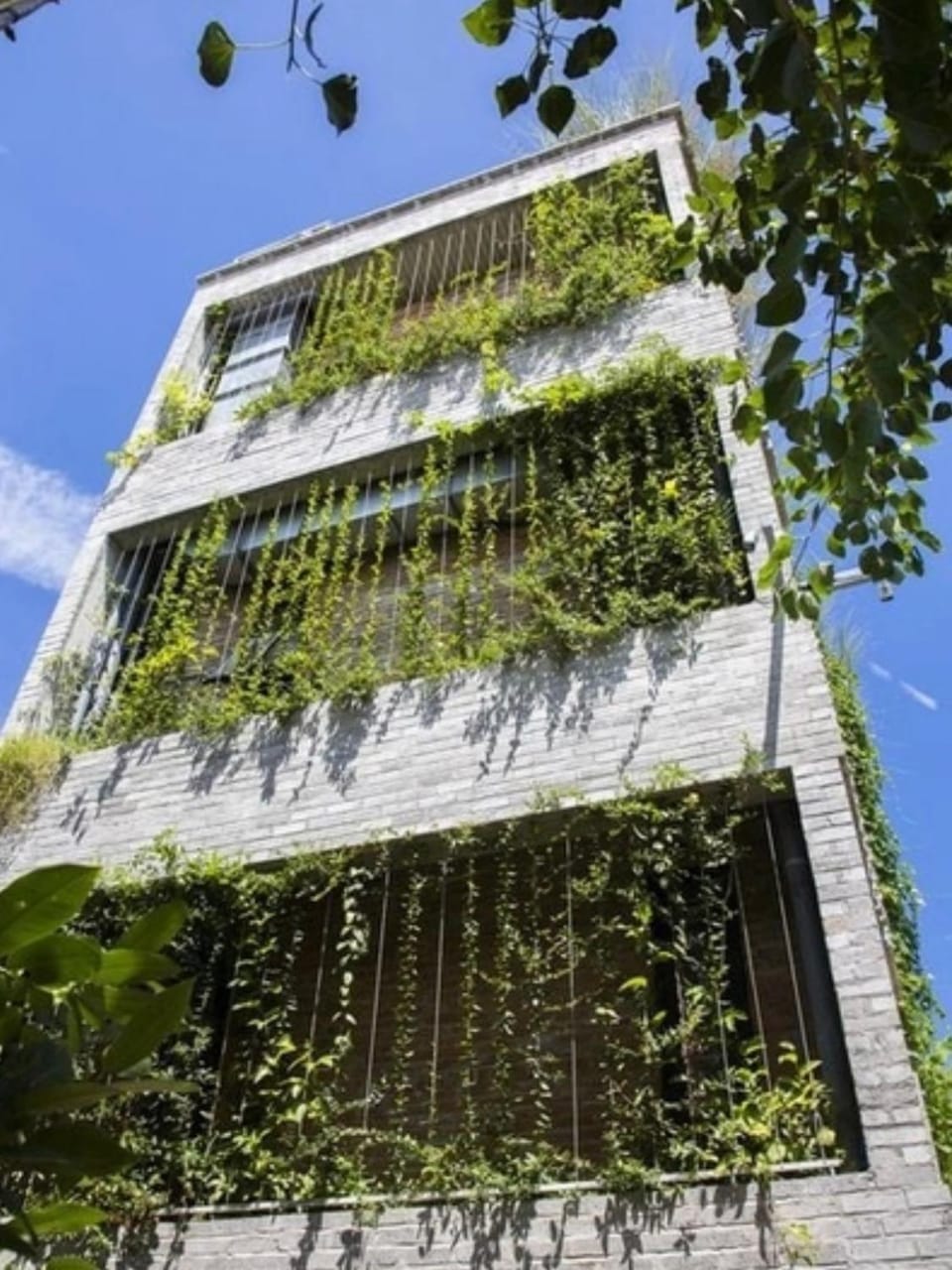 Day, Garden, Garden view