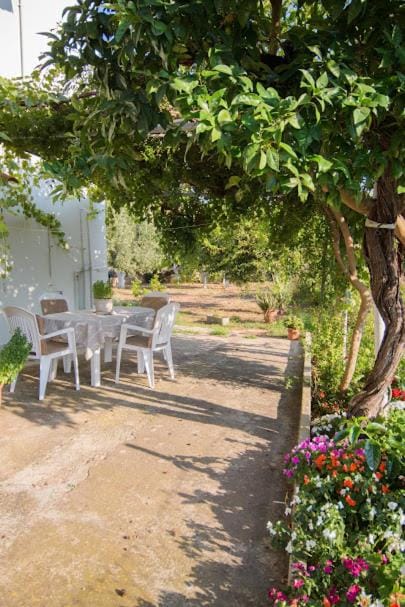 H&H Helens House House in Messenia