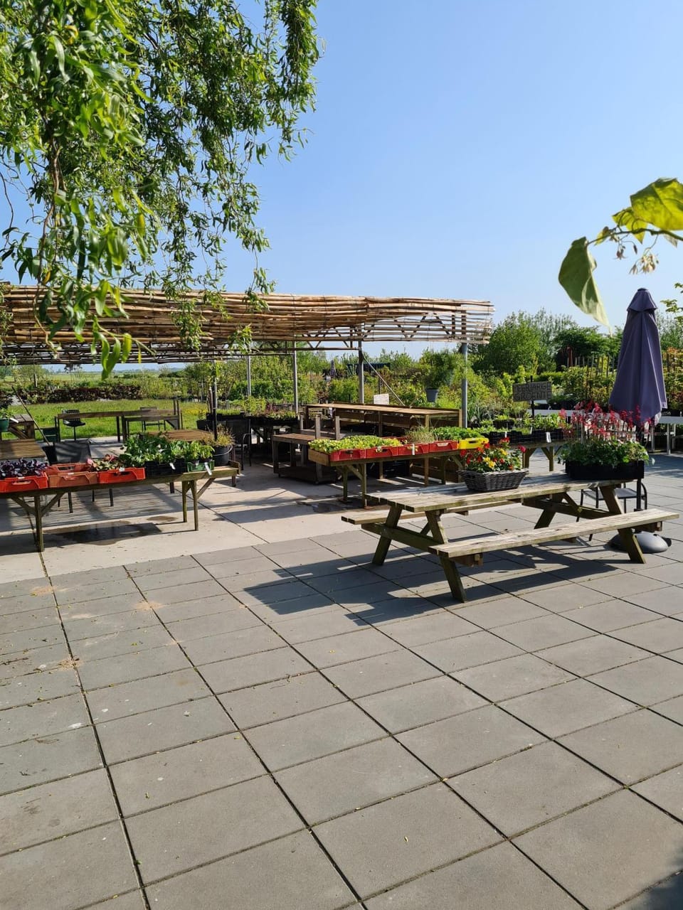 Spring, Day, Garden