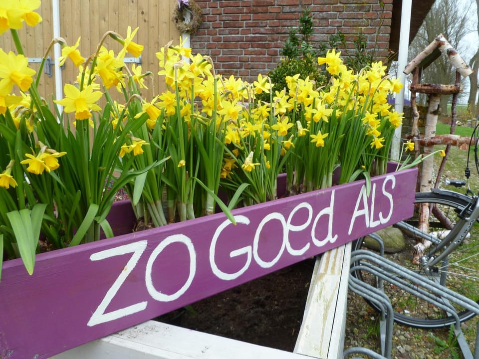 Logo/Certificate/Sign
