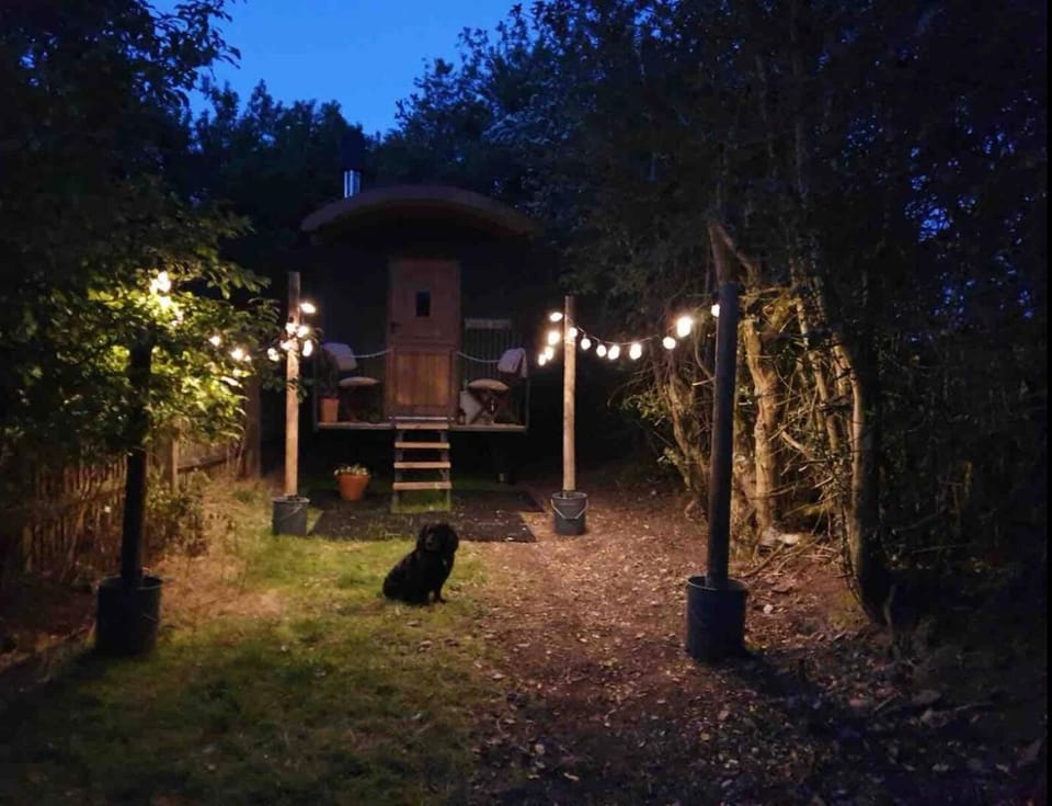 Hide and Sheep Shepherds Hut Luxury tent in Staffordshire Moorlands District