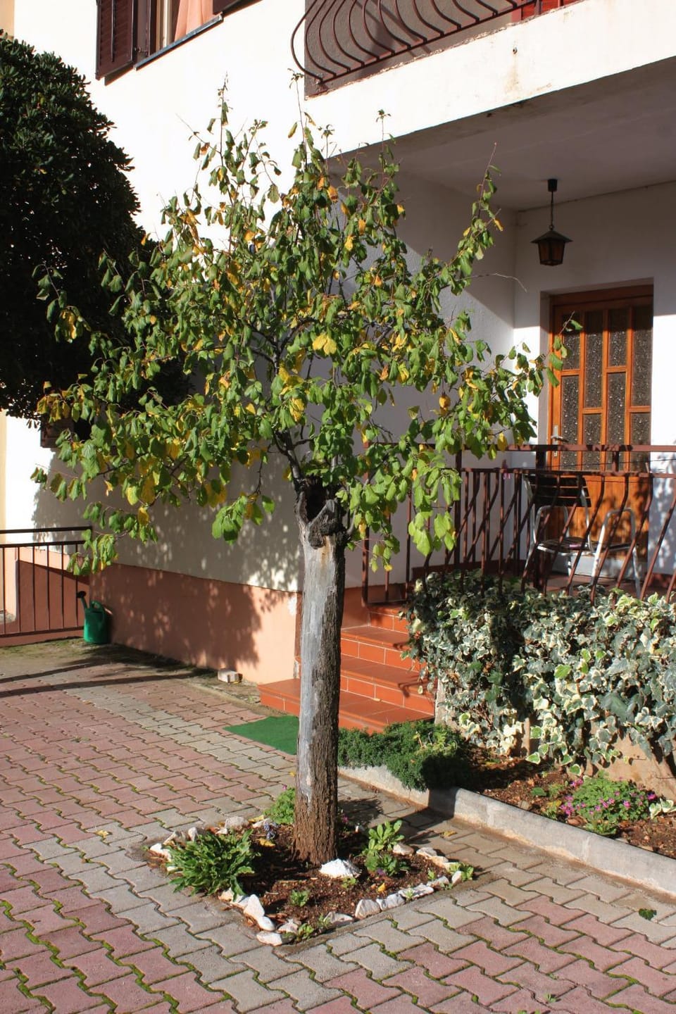 Location, children, Family