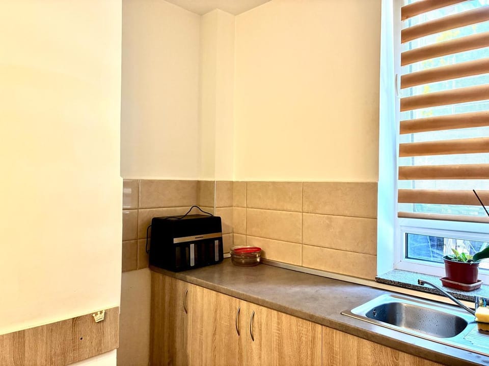 Luiza's Mountain View Apartment in Brasov