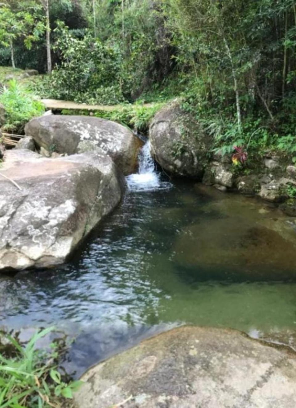 Natural landscape, River view