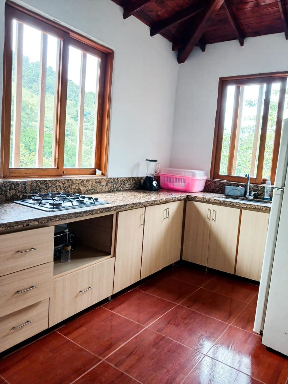 Kitchen or kitchenette, pet friendly
