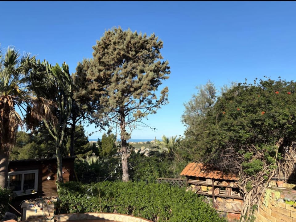 Garden view