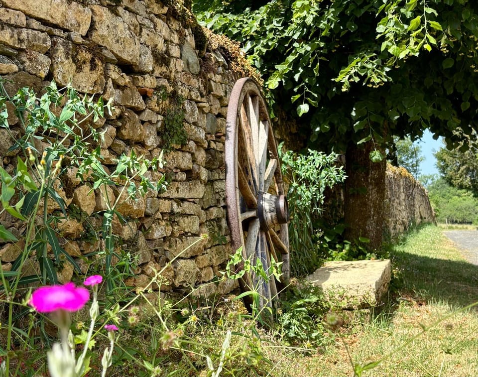 Le Charme du Perigord - chambre & table d'hotes Bed and Breakfast in Nouvelle-Aquitaine