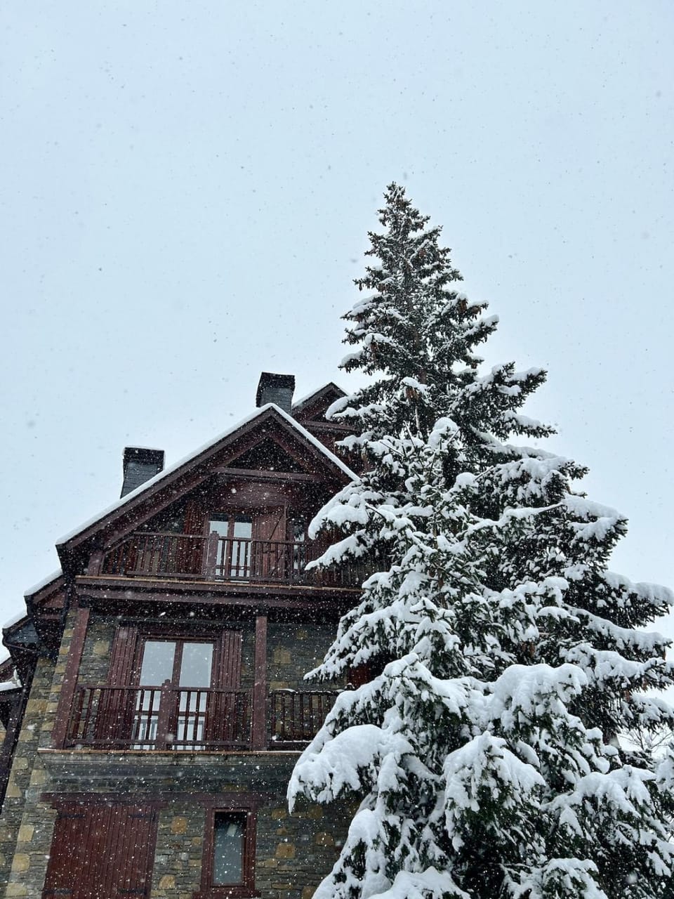 Property building, Day, Winter