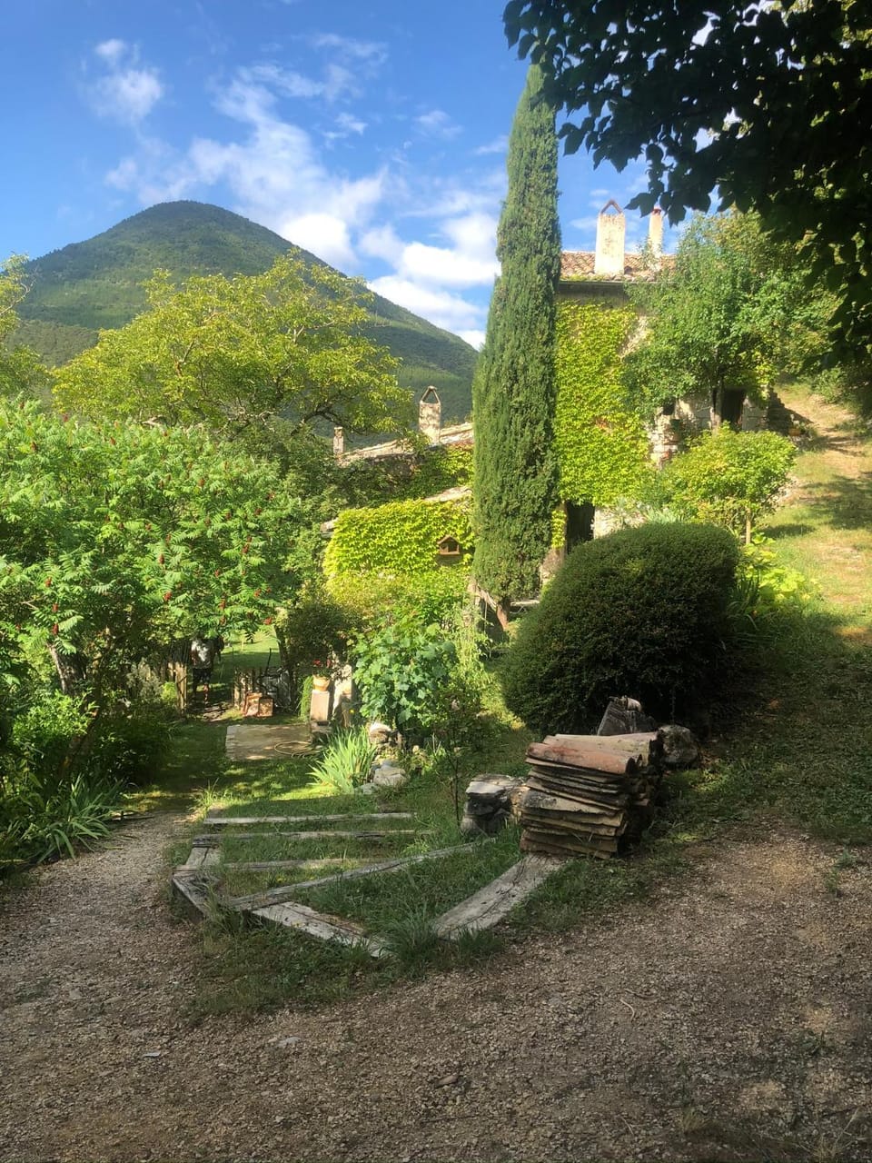 Natural landscape, Garden, Garden view