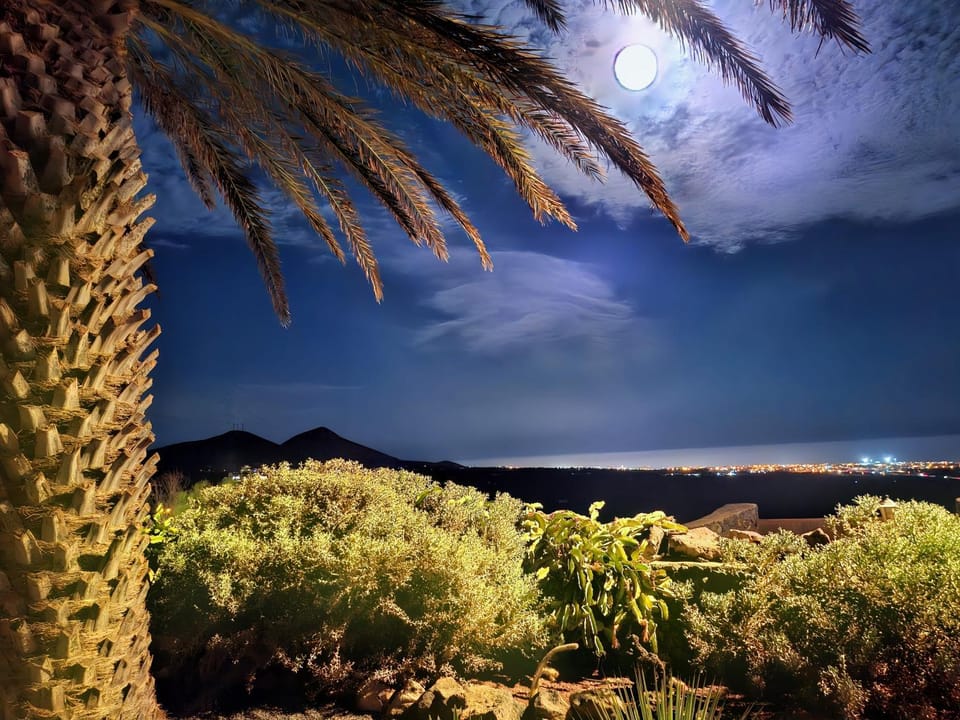 Nearby landmark, Night, Natural landscape, Garden, View (from property/room), City view, Landmark view, Mountain view, Sea view