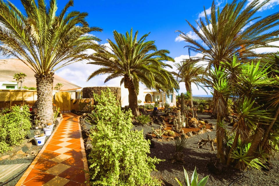 Natural landscape, Garden, Garden view