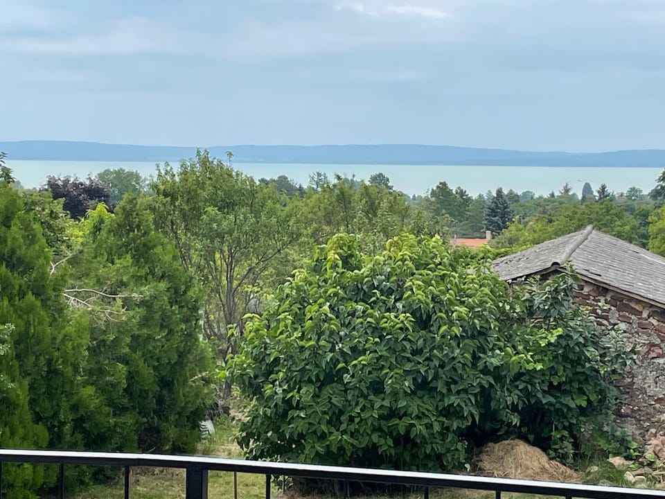 Lake view
