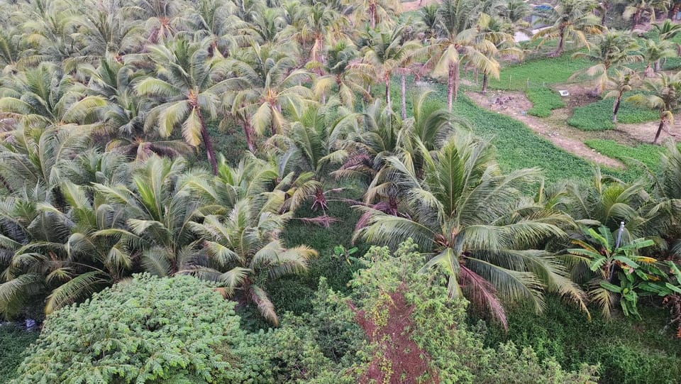 Natural landscape, Garden, Garden view