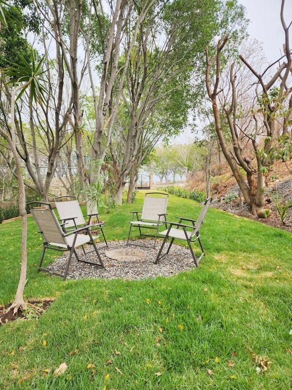 Day, Natural landscape, Garden, Garden view