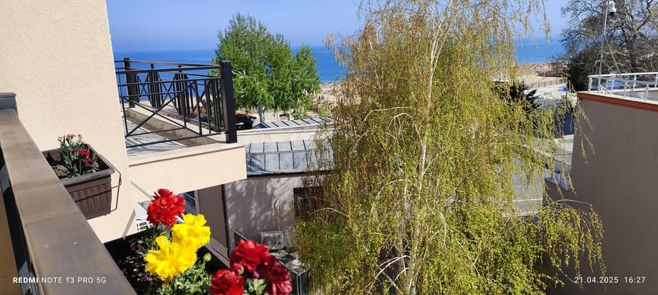 Day, Sea view