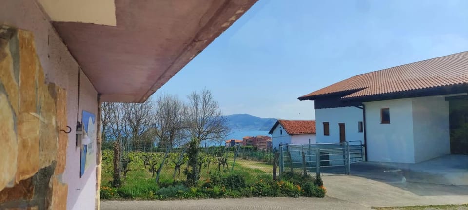 Natural landscape, Garden, Mountain view