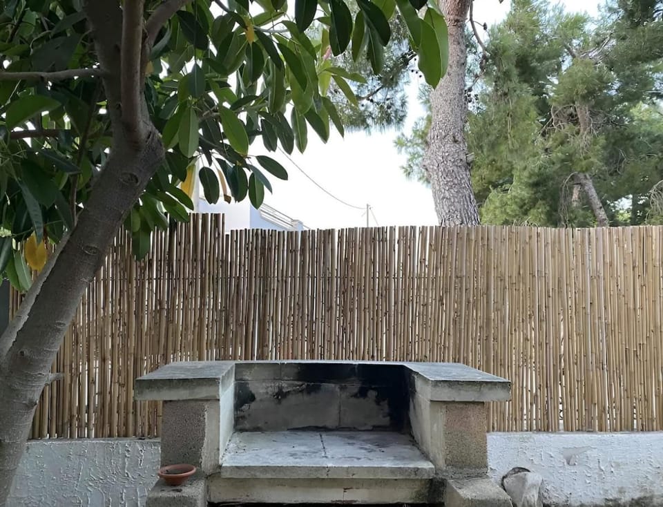 House with Garden 30 meters from the Sea Apartment in Apulia