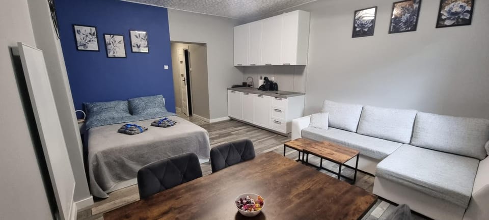 Kitchen or kitchenette, Dining area, Bedroom