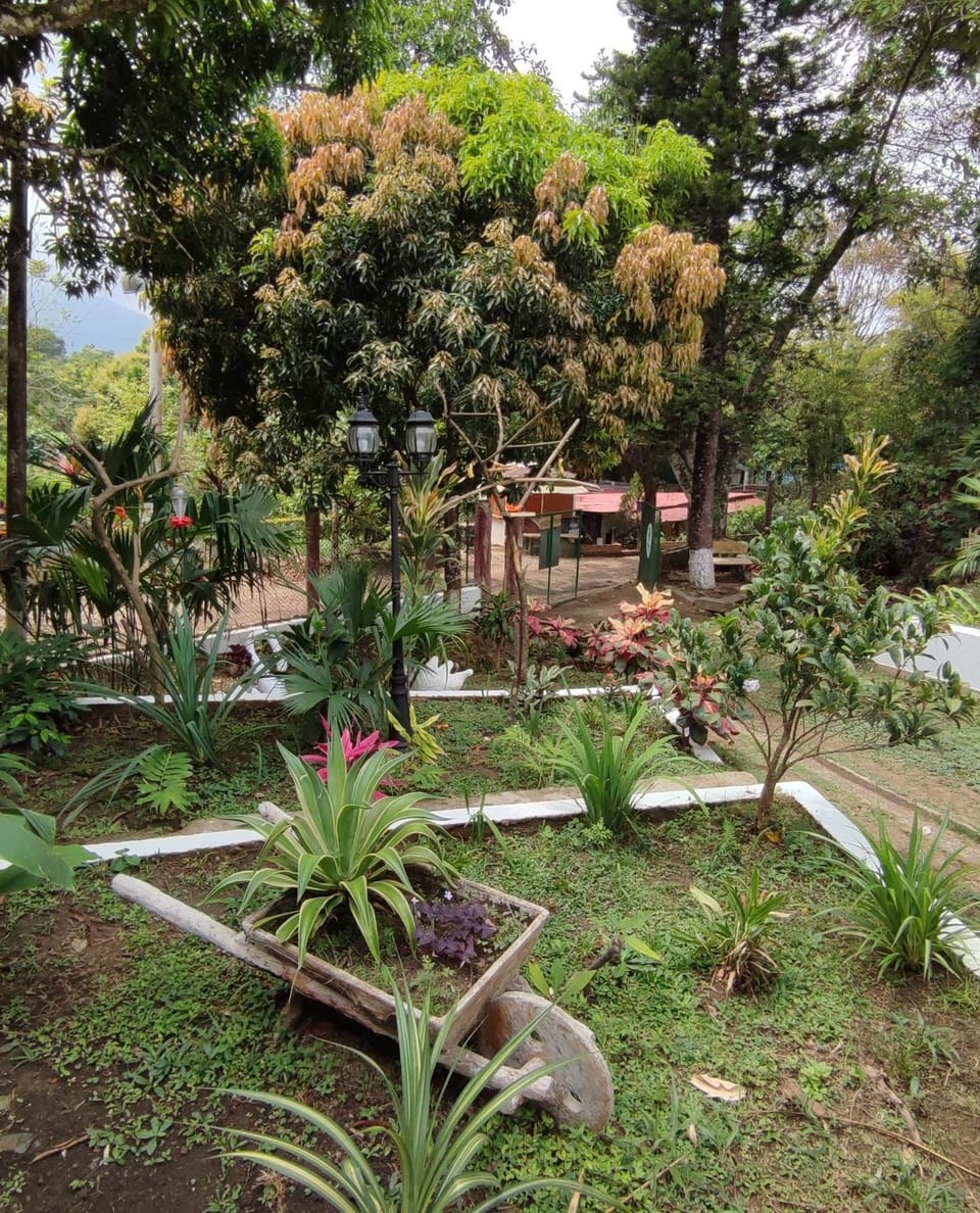 Garden, Garden view