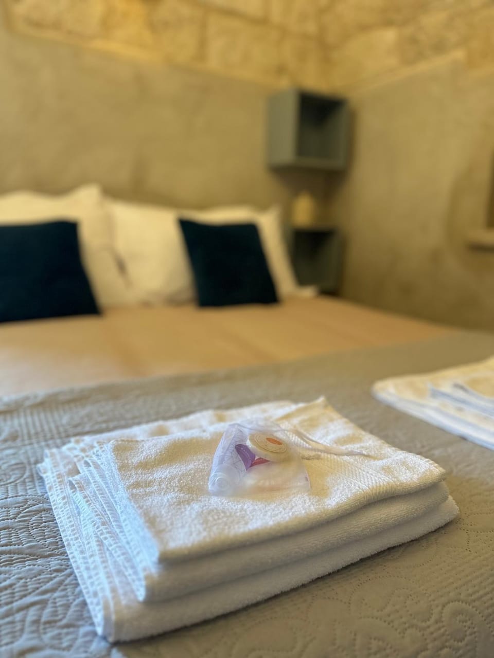 Dimora di Leo Apartment in Apulia