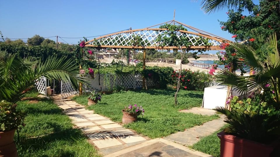 Natural landscape, On site