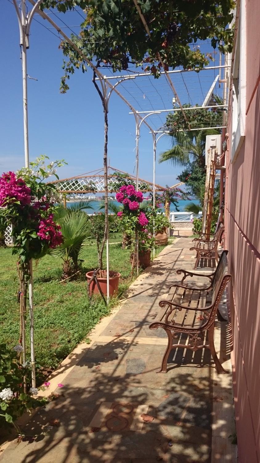 Garden, Garden, Beach